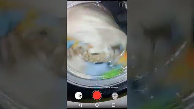 Стирка пледа смотреть онлайн