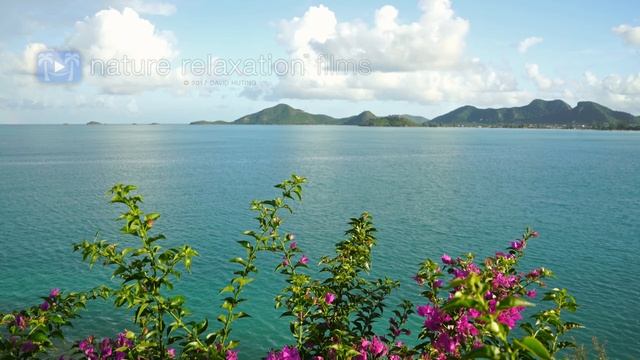 Всемирное природное наследие (День в Карибском бассейне) (2018) 4K WEBRip 2160p_v.1 смотреть онлайн