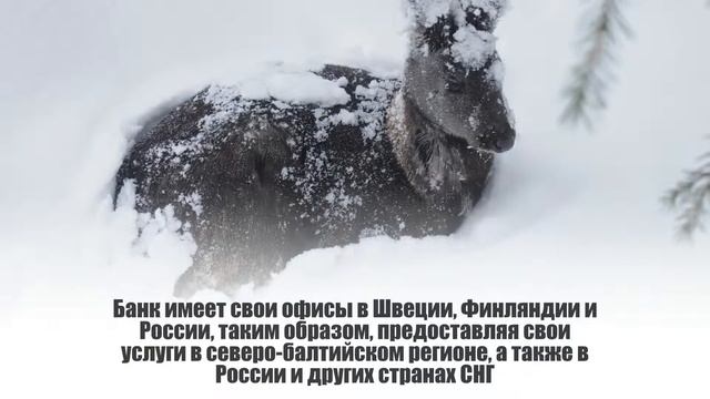 Корпоративный иностранный банковский счет в Финляндии смотреть онлайн