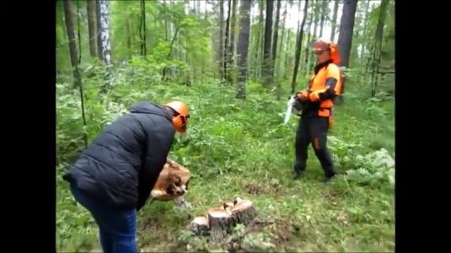 Порядок заполнения раздела 7.2. отчета по практике смотреть онлайн