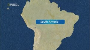 Доисторические хищники / Prehistoric Predators Серия 2 Хищные птице ящеры