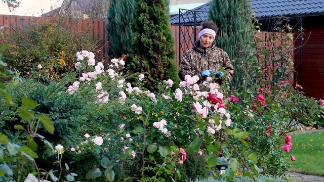 Подготовка сада к зиме I Осенний Портрет сад I Сад Людмилы Кудасовой смотреть онлайн