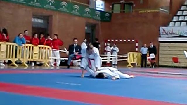 campeonato de andalucia de karate 13/11/2010 смотреть онлайн