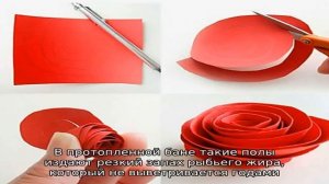 Дедовский секрет: как сделать так, чтобы полы в бане не гнили