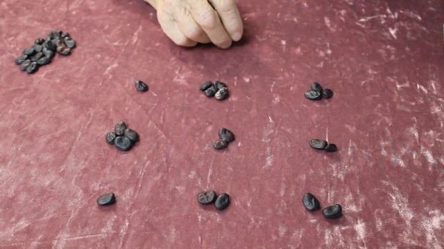 Предсказание на ноябрь. Что ждать в ноябре? Гадание онлайн на бобах. смотреть онлайн