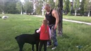 Кане Корсо и дети