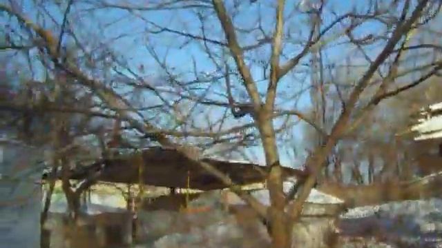 Тест камеры Pentax Optio смотреть онлайн