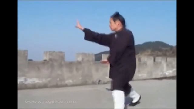 Уданский мастер Чжу Лимин демонстрирует багуа чжан / Wudang Master Bagua Zhang Zhu Li Ming смотреть онлайн