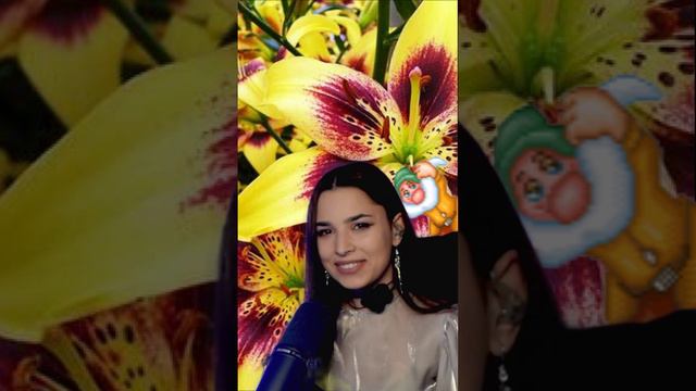 Ты подари. смотреть онлайн