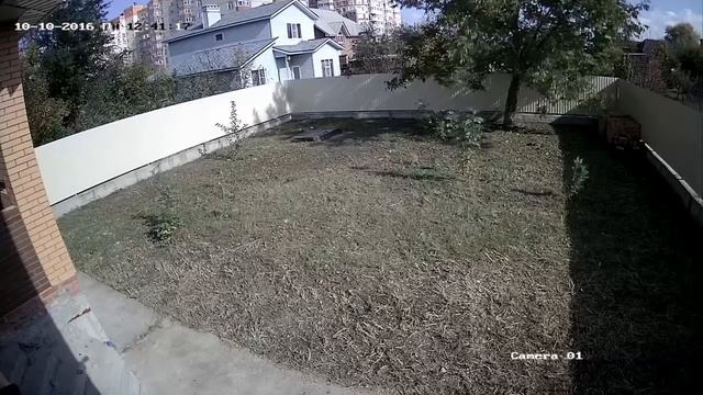 Видеонаблюдение для дачи пример работы камеры смотреть онлайн