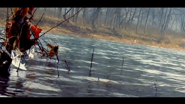 Canon Sx30is video test footage смотреть онлайн