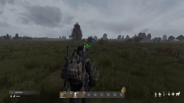 Dayz Cease fire rp server, Dayz gamplay смотреть онлайн