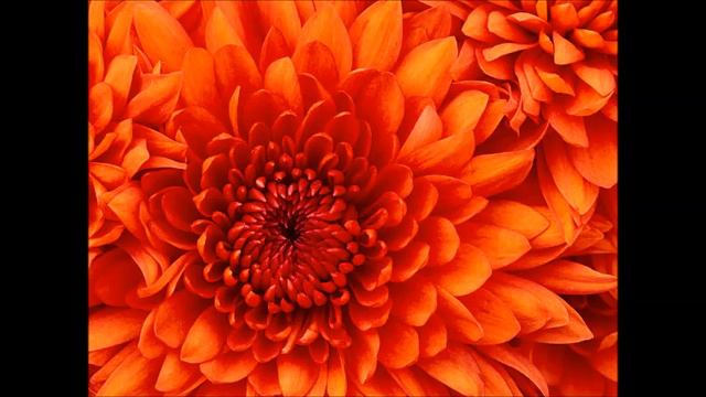 Britten Serenade Hymn-Sonnet-Epilogue смотреть онлайн