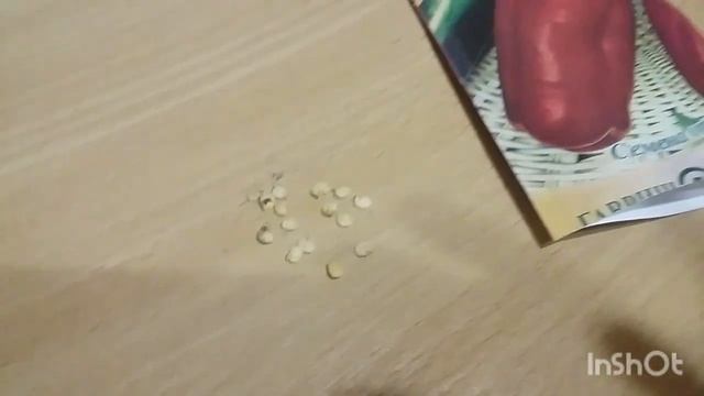 ПОСЕВ СЛАДКОГО БОЛГАРСКОГО ПЕРЦА НА РАССАДУ.? #какаду #лисичка #рамиро #перецболгарский смотреть онлайн