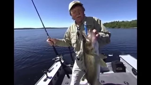 Воблер RAPALA Shallow Tail Dancer смотреть онлайн