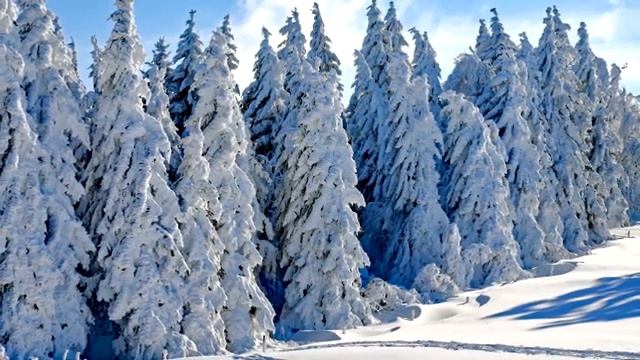 Красивый мужской мусульманский имена смотреть онлайн