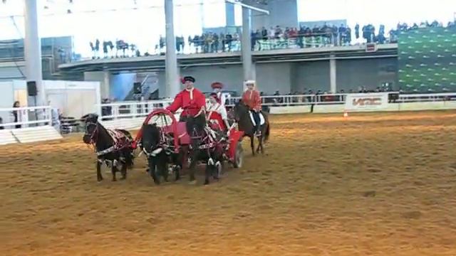 Иппосфера 2014 смотреть онлайн