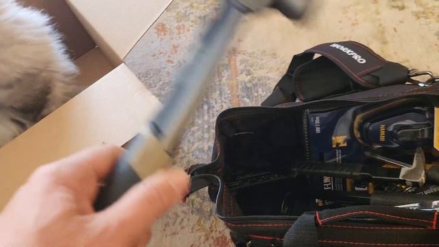 Сдали Медицину! 2023, Калгари смотреть онлайн