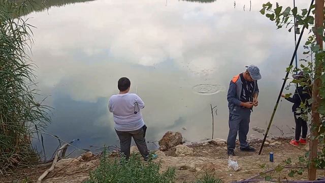 Рыбалка на озере savsns film 20 07 2019 смотреть онлайн