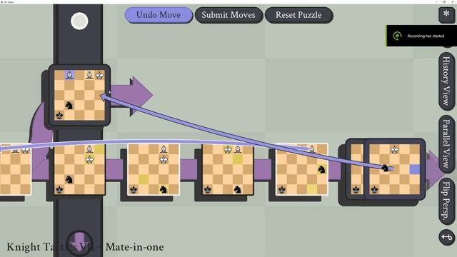 5D Chess with Multiverse Time Travel Puzzle Solutions: Knight Tactics 7 смотреть онлайн