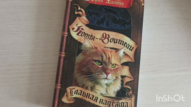 Обзор на мои книги смотреть онлайн