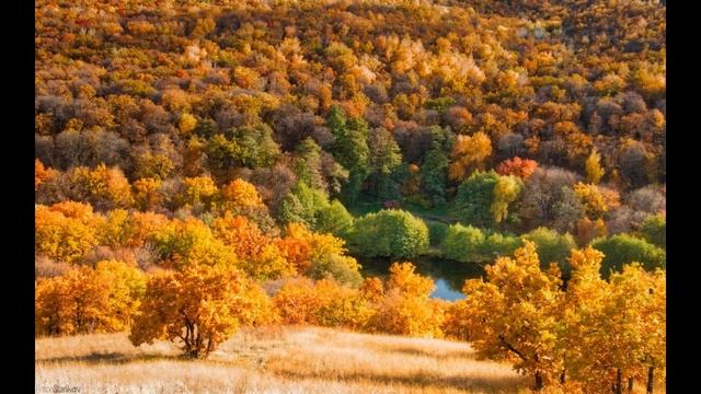 Пора года. ОСЕНЬ. смотреть онлайн