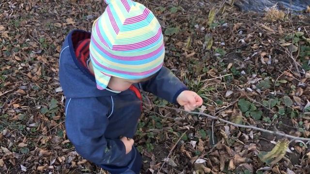 Дневник зайчоныша. 27.02.19. Серёжки ольхи. смотреть онлайн