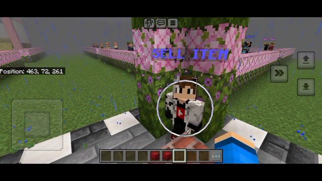 Public Lifesteal smp ip port 😎 24/7 Online {Java+pe} 🔥 смотреть онлайн