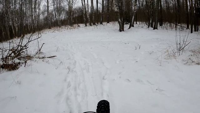 Покатушка на фэтбайке по зимнему лесу.2 декабря 2021 года.1 часть. смотреть онлайн