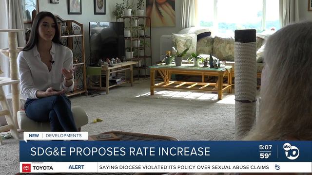 SDG&E customers weigh in on potential rate hike in 2024 смотреть онлайн