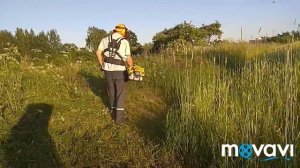 испытания Бензокосы Stiga SBC 253 D