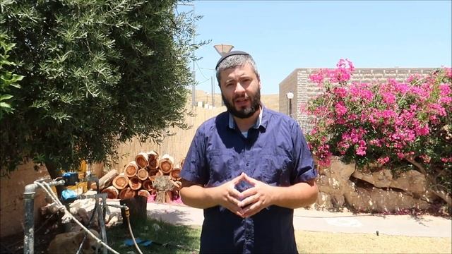 Агрессивное издевательство над здравым смыслом | Новости Израиля | Хелек выпуск№152 смотреть онлайн