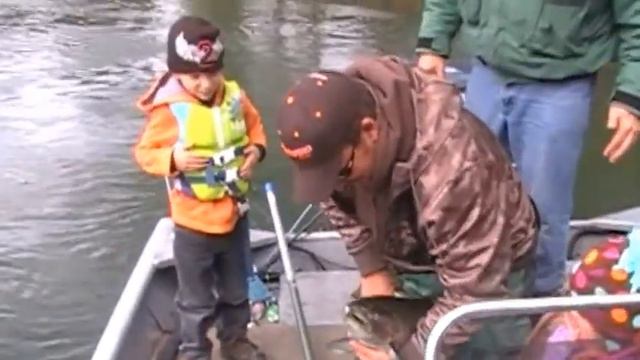 Ross catches a Chinook Salmon on the Manistee river смотреть онлайн