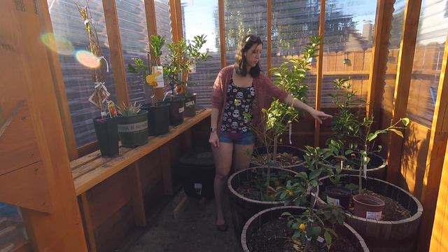 CzrExperiments Back Yard Tour 01 --- February 2018 смотреть онлайн