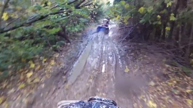 ЯВА в лесу смотреть онлайн