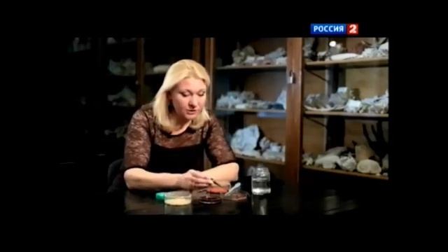 Как кожа защищает человека смотреть онлайн