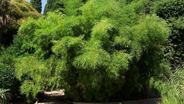 Как простить того, кто не отдал долг. смотреть онлайн