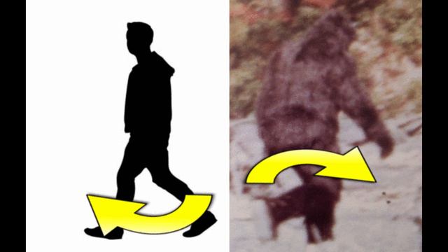 The IMPOSSIBLE Walk of the Patterson Gimlin Bigfoot Film ( a Documentary ) смотреть онлайн