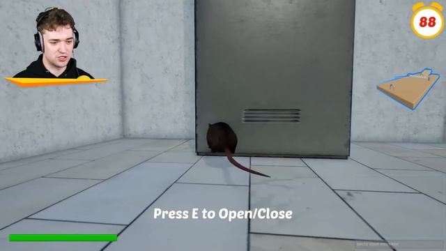 SLAP The INFECTED Flying Rat Or LOSE! (Slap The Fly) смотреть онлайн