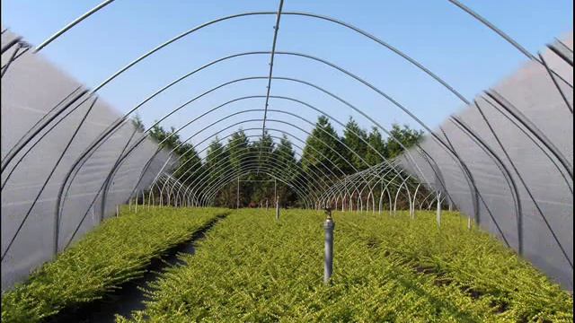 Пленочные туннели смотреть онлайн