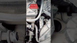 Xsara Picasso, замена масла в коробке, кпп