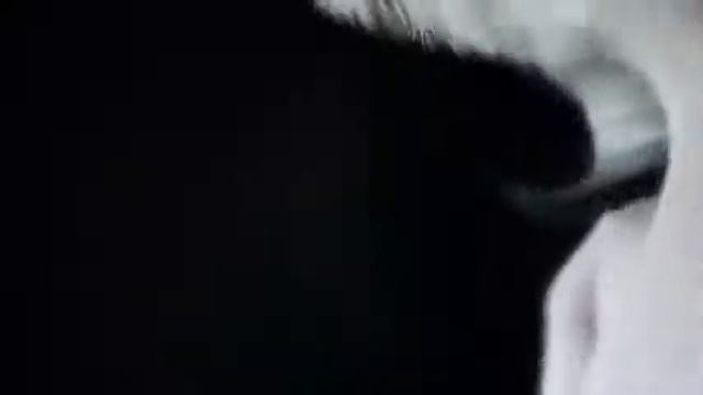 Loreal Mega Volume Collagen Mascara Feat.flv