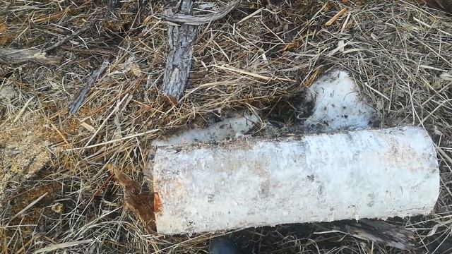 Как и какое выбрать дерево для топорища? смотреть онлайн