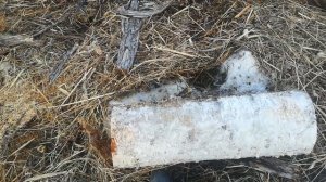 Как и какое выбрать дерево для топорища?