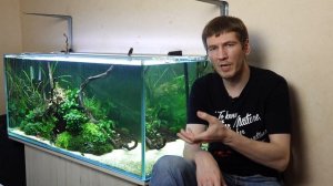 Аэрация в аквариуме. Всё, что нужно знать новичкам