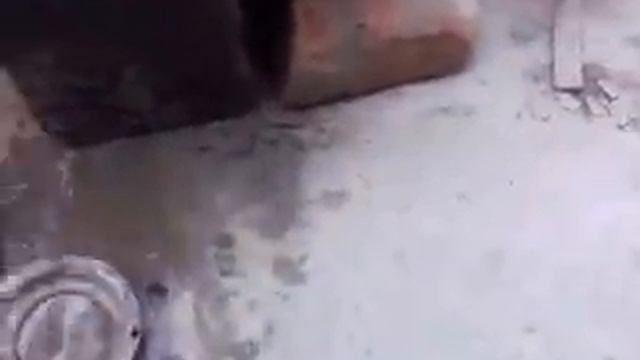 самодельная дробь смотреть онлайн