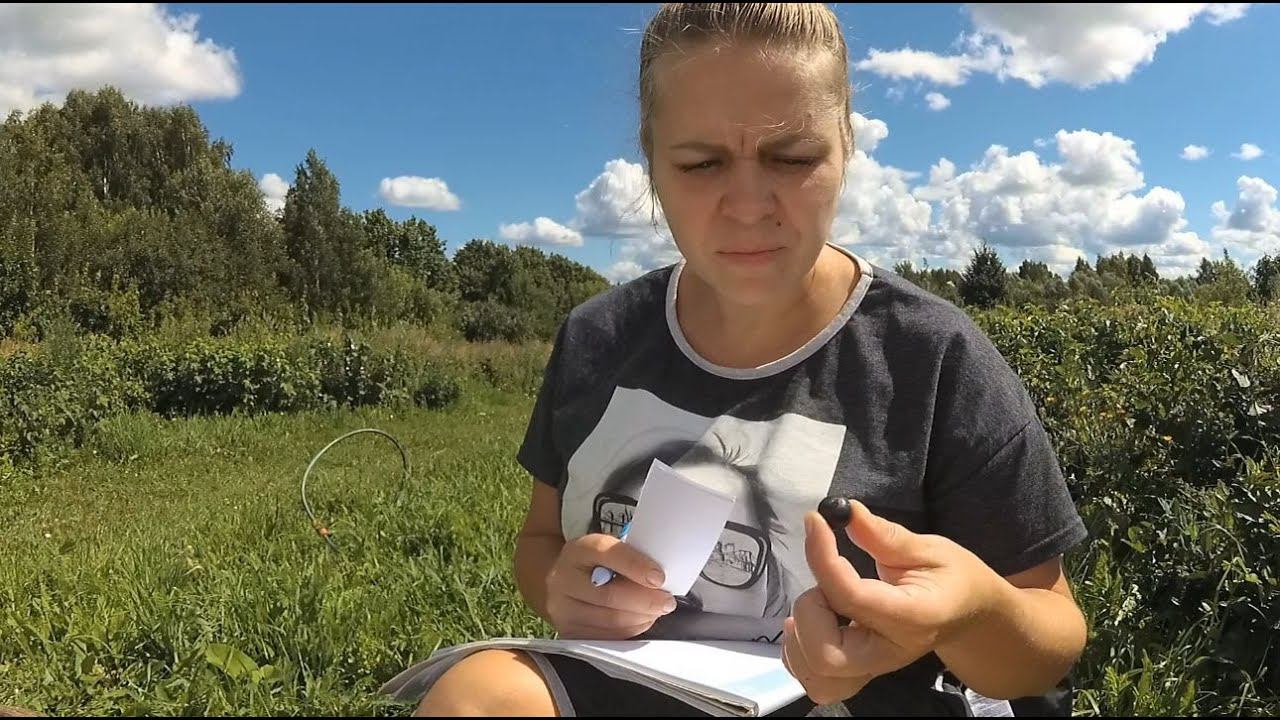 Дегустация чёрной смородины, финальная 4-я часть! Сладкие и крупные сорта. смотреть онлайн