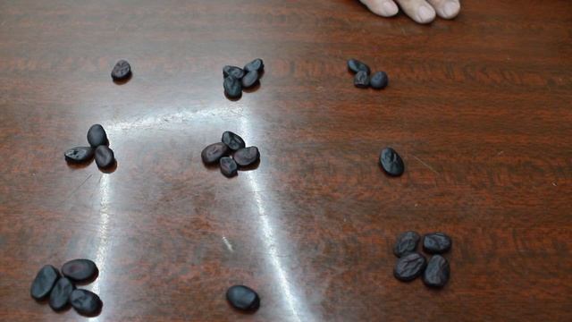 Гадание онлайн.Что нас ждет в августе? гадание на бобах. Прогноз на август. смотреть онлайн