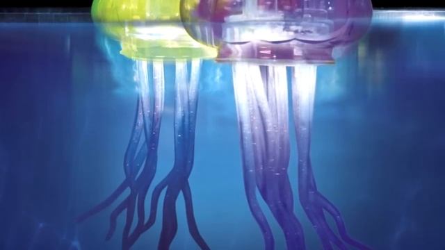 10 КЛАССНЫХ ПРИСПОСОБЛЕНИЙ ДЛЯ БАССЕЙНА смотреть онлайн