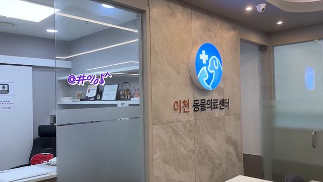 수의사샘에게 대드는 용맹한 포메 смотреть онлайн